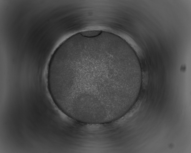 X0000102841046200809081215