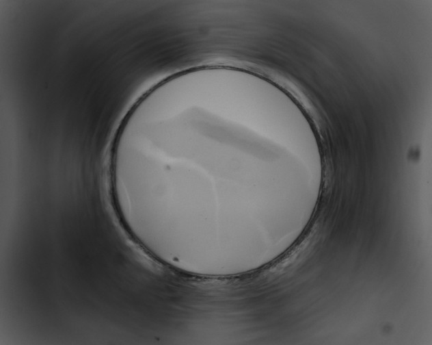 X0000102841048200809081215