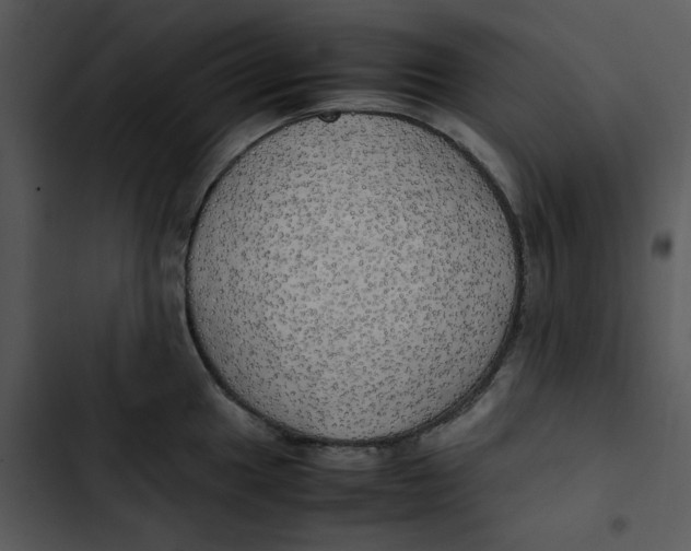 X0000102841049200809081215