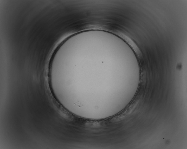 X0000102841051200809081215