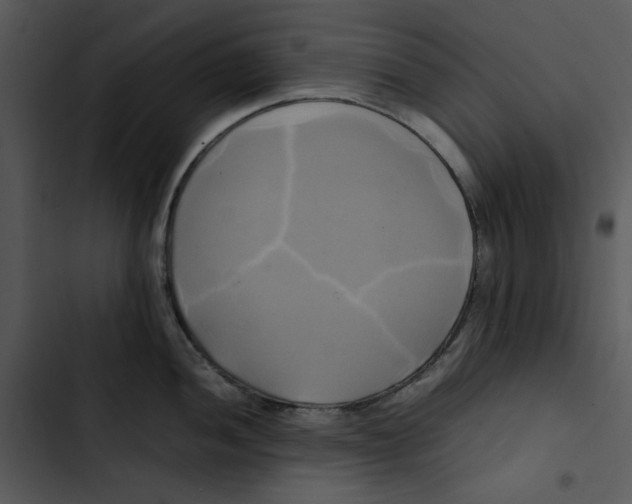 X0000102841052200809081215