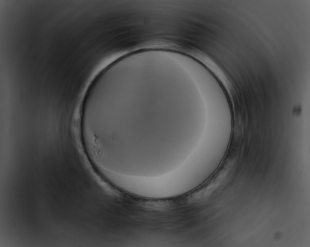 X0000102841053200809081215