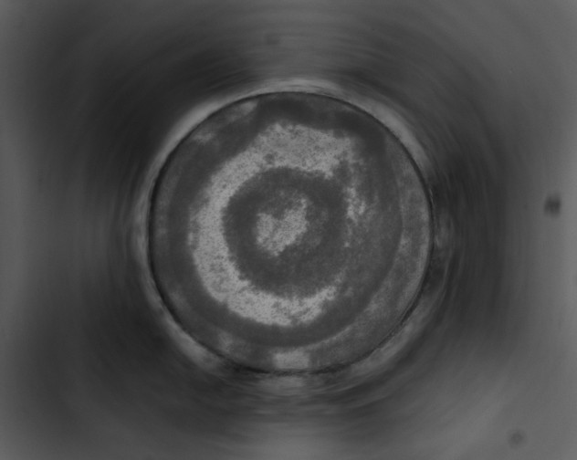 X0000102841054200809081215