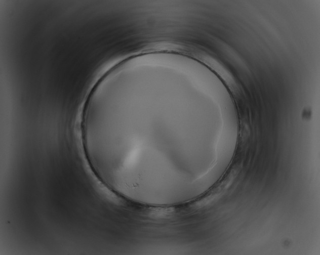 X0000102841055200809081215