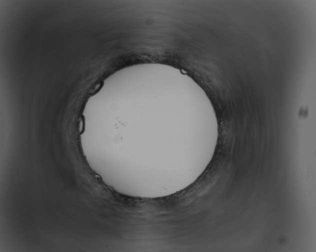 X0000102841057200809081214