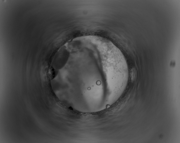 X0000102841059200809081214