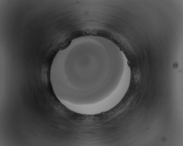 X0000102841060200809081214