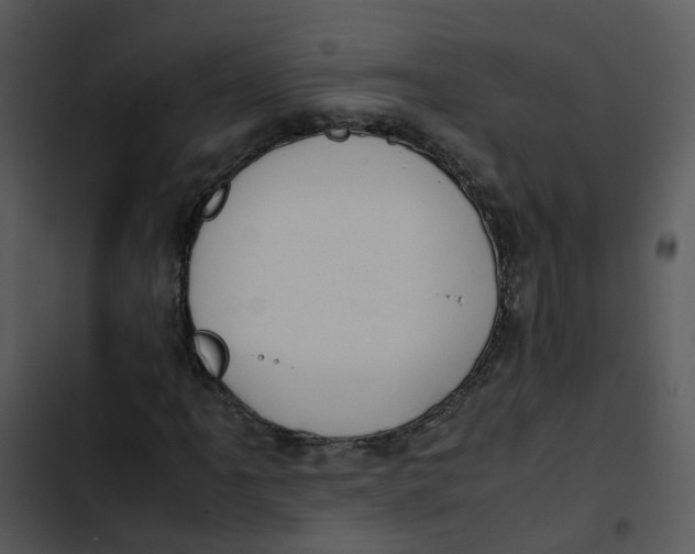 X0000102841061200809081214