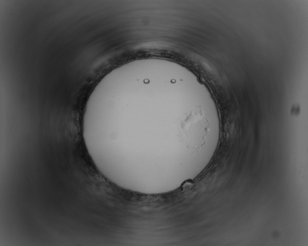 X0000102841062200809081214