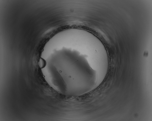 X0000102841063200809081214