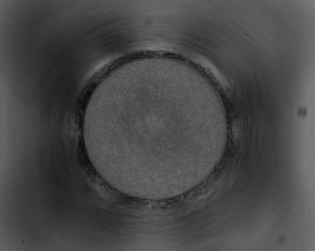 X0000102841064200809081214