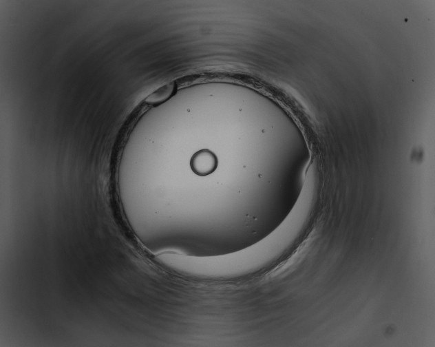 X0000102841065200809081214