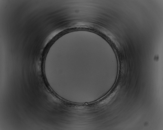 X0000102841066200809081214