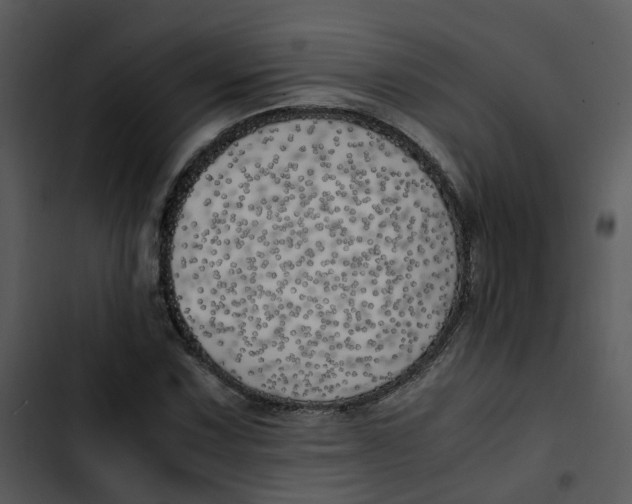 X0000102841067200809081214