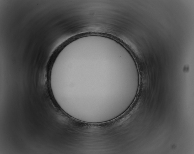 X0000102841070200809081214