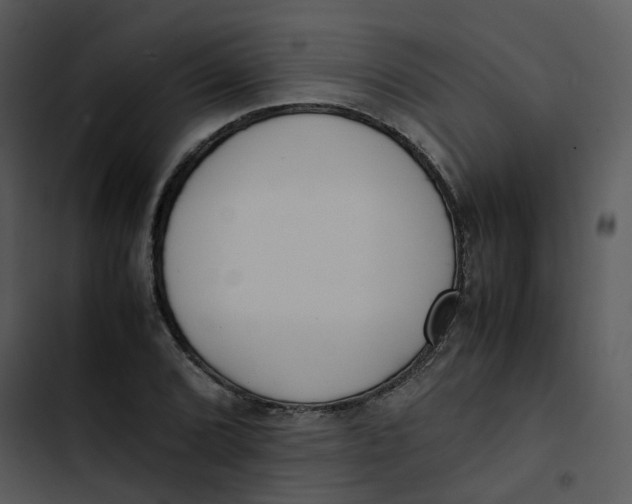 X0000102841072200809081214