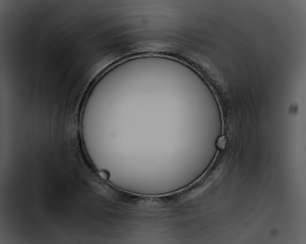 X0000102841073200809081214