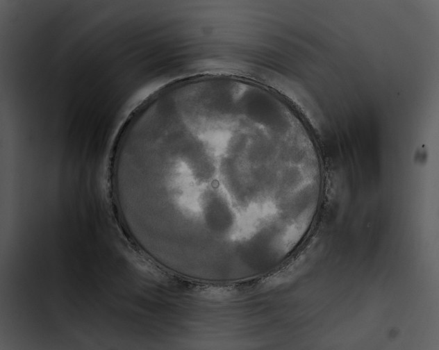 X0000102841074200809081214