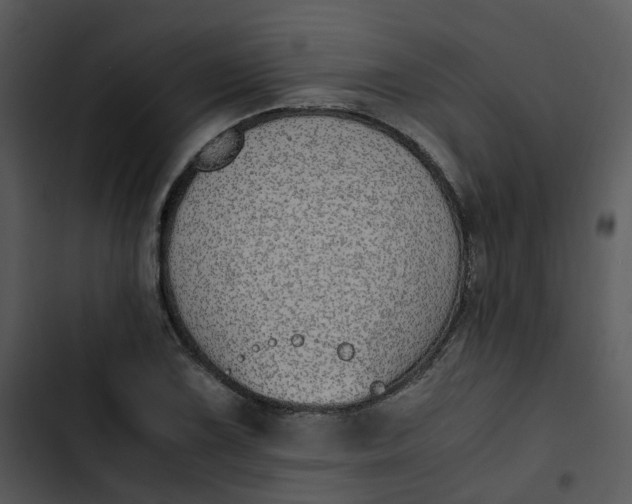 X0000102841075200809081214