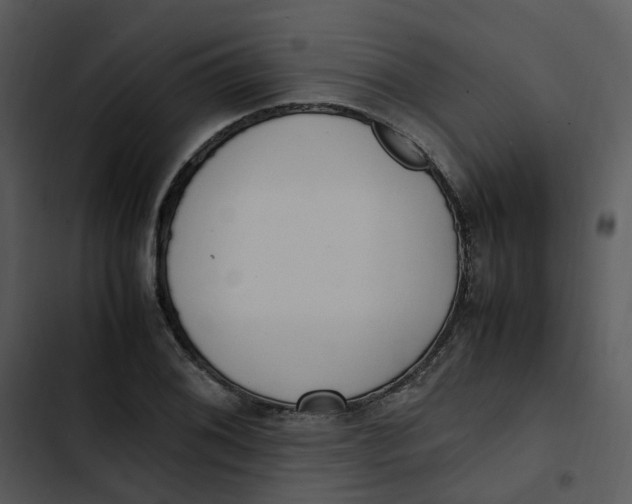 X0000102841076200809081214