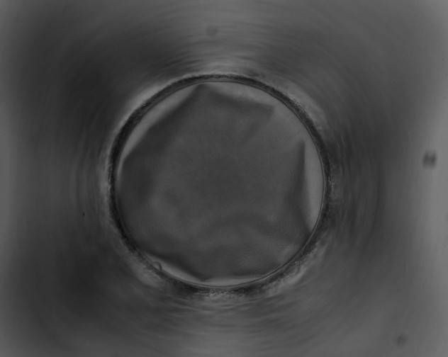 X0000102841077200809081214