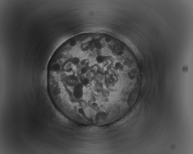 X0000102841079200809081214