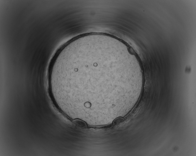 X0000102841080200809081214