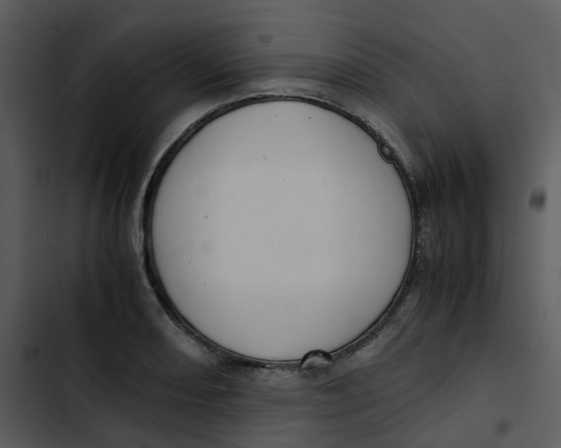 X0000102841082200809081214