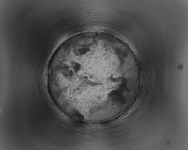 X0000102841083200809081214