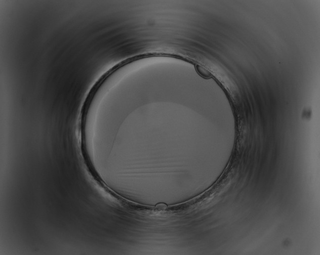 X0000102841084200809081214