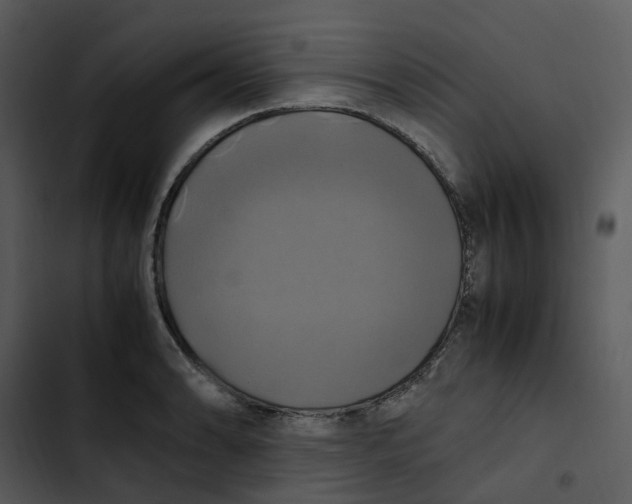 X0000102841086200809081214