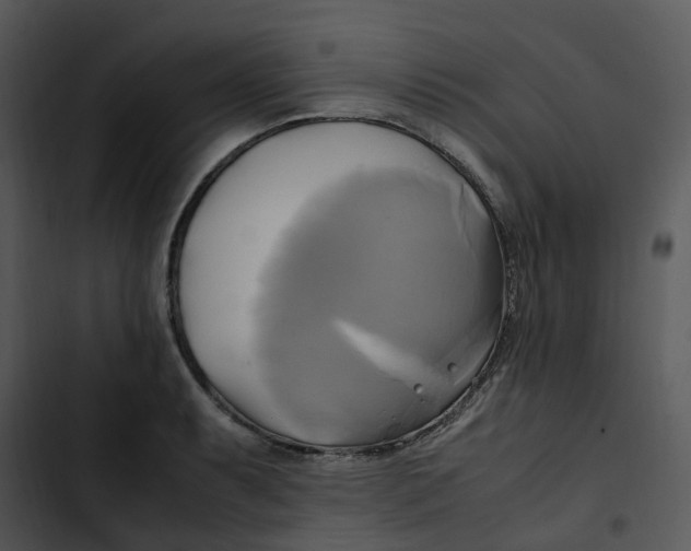 X0000102841087200809081214