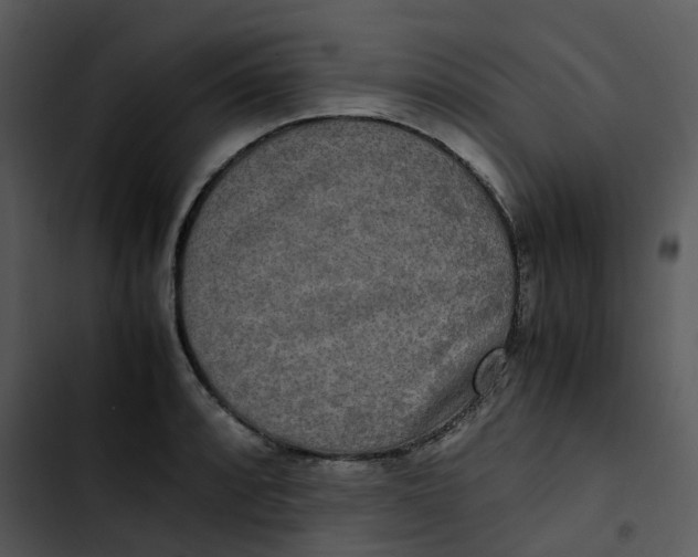 X0000102841088200809081214