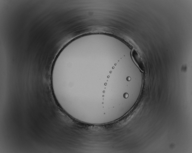 X0000102841089200809081214