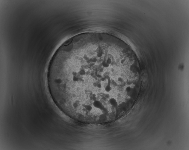 X0000102841091200809081214