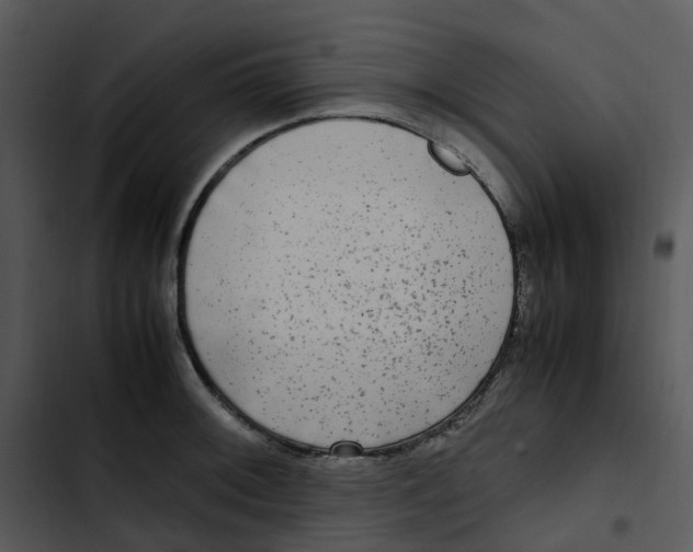 X0000102841092200809081214