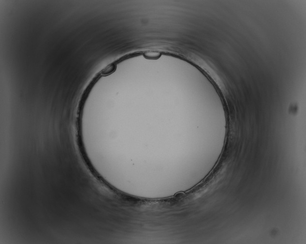 X0000102841093200809081214