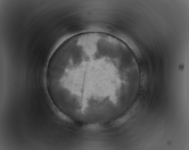 X0000102841094200809081214