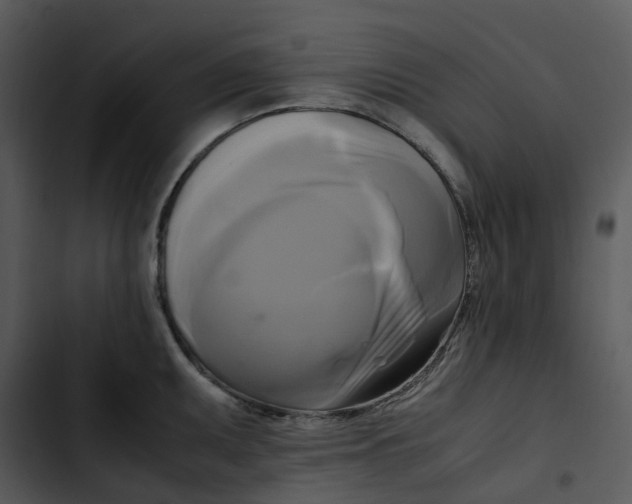 X0000102841095200809081214