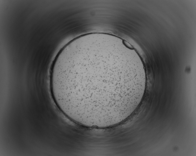 X0000102841096200809081214