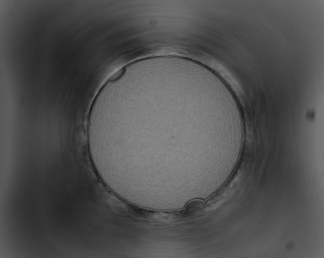 X0000102841097200809081214