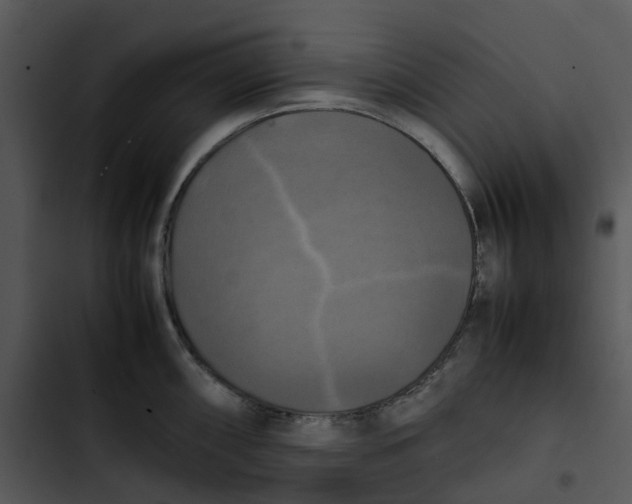 X0000102841098200809081214