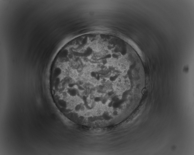 X0000102841099200809081214