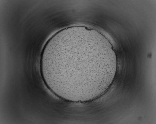 X0000102841100200809081214