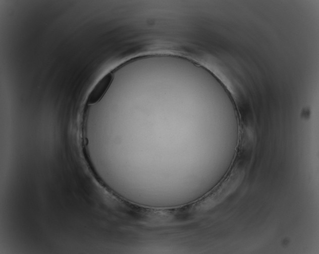 X0000102841101200809081214