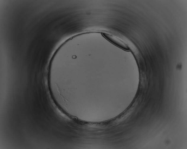 X0000102841102200809081214