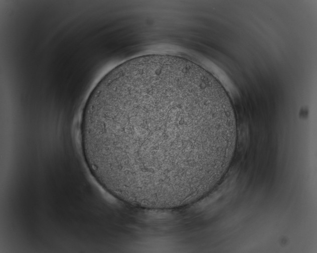 X0000102841103200809081214