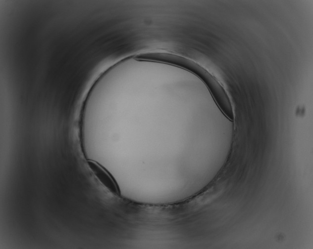 X0000102841104200809081213