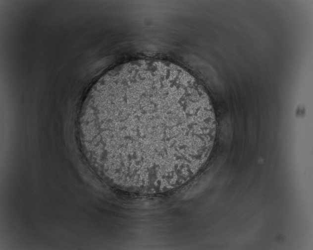 X0000102841105200809081213