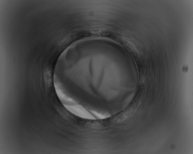 X0000102841106200809081213